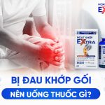 Bị Đau Khớp Gối Nên Uống Thuốc Gì?