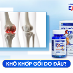 Khô Nhờn Khớp Gối Do Đâu? Ăn Gì Để Tăng Tiết Dịch Khớp Gối?