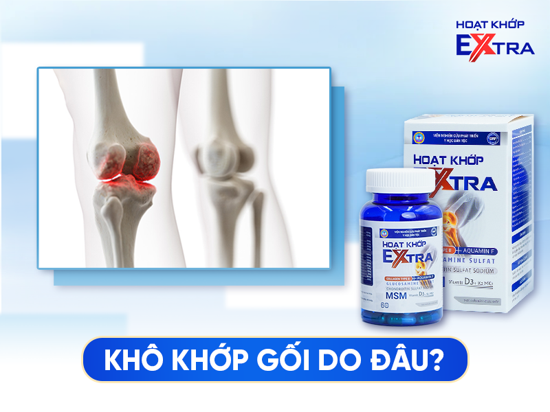 Khô Nhờn Khớp Gối Do Đâu? Ăn Gì Để Tăng Tiết Dịch Khớp Gối?
